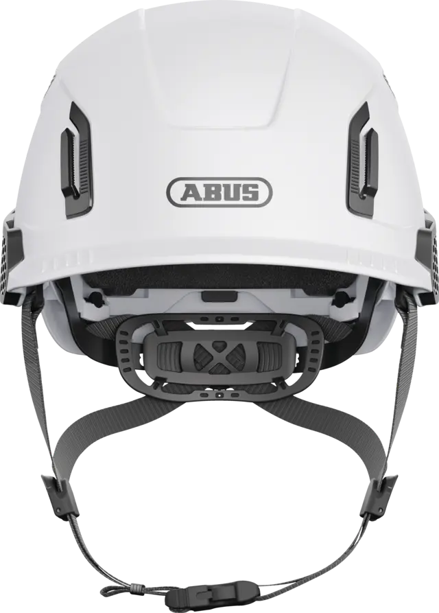CASCOS SPECTOR